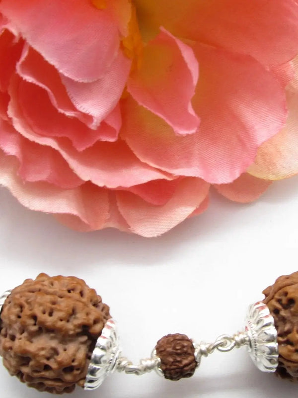 Virgo 4 Mukhi Rudraksha Bead - Premium Nepal Origin by Brahmatells
