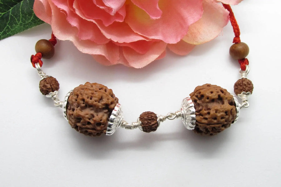 Virgo 4 Mukhi Rudraksha Bead - Premium Nepal Origin by Brahmatells