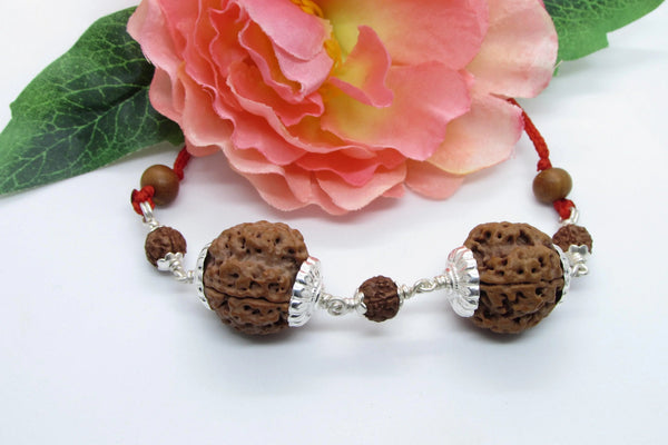 Virgo 4 Mukhi Rudraksha Bead - Premium Nepal Origin by Brahmatells
