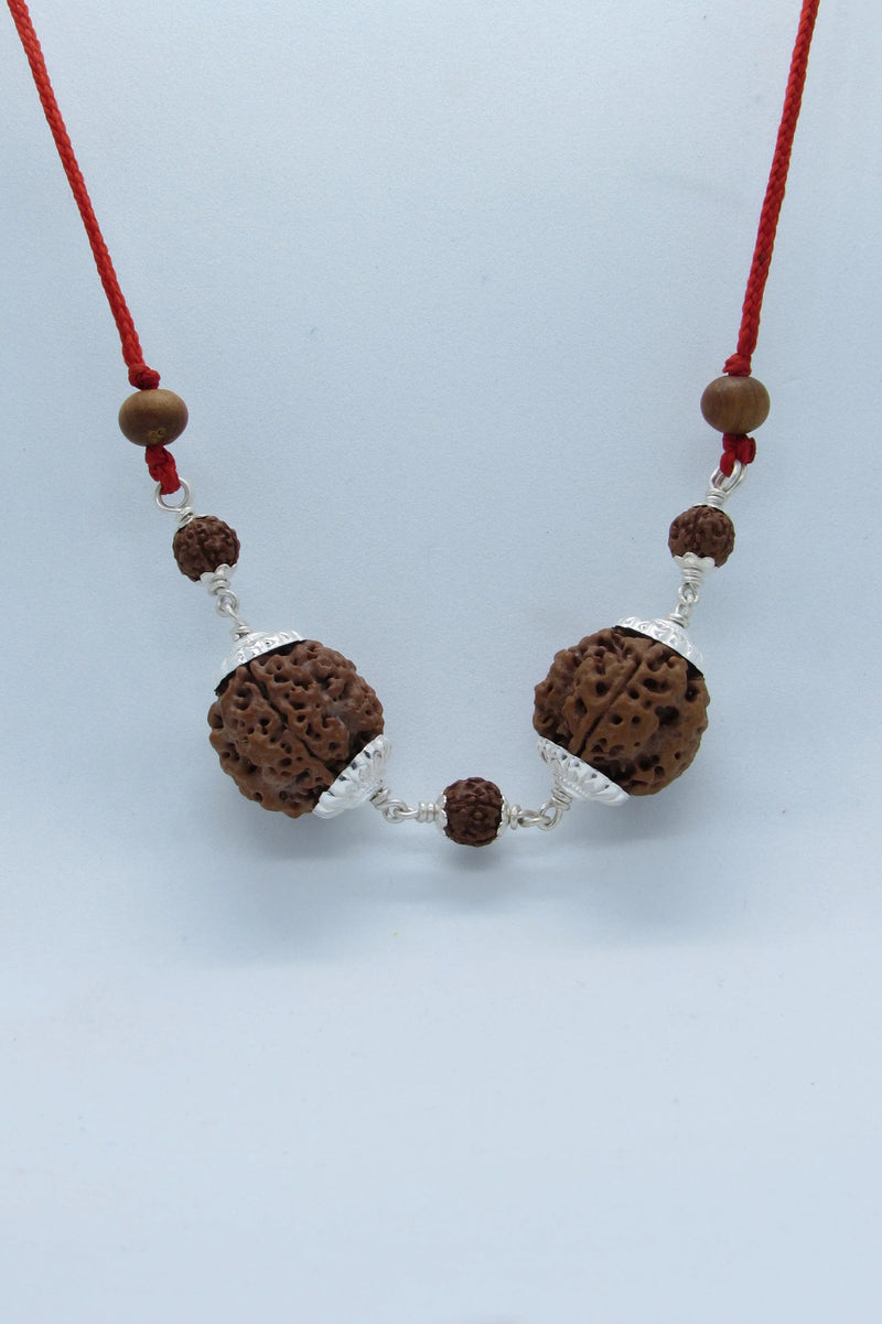 Virgo 4 Mukhi Rudraksha Bead - Premium Nepal Origin by Brahmatells